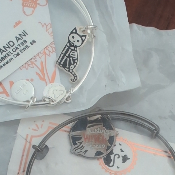 Alex and Ani Jewelry - 2 Alex and Ani Spooky  Charm Bracelets